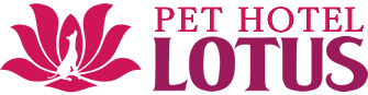 Pet Hotel Lotus is a pet (dog) hotel trimming salon in Tomisato City, Chiba Prefecture.