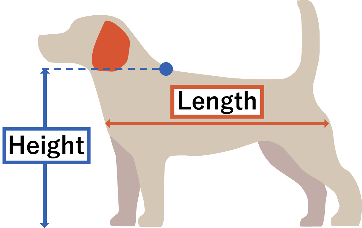 How to measure body length and height