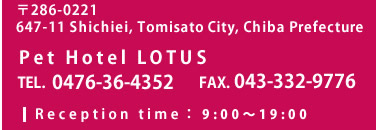 〒286-0221 647-11 Shichiei, Tomisato City, Chiba Prefecture Pet Hotel LOTUS TEL. 0476-36-4352 FAX. 043-332-9776 Reception time：9:00～19:00