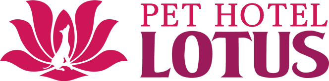 PET HOTEL LOTUS ペットホテルロータスは千葉県富里市のペット（犬・猫・小動物）ホテル・トリミングサロンです。